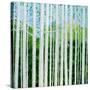 Birch Grove-Herb Dickinson-Stretched Canvas