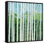 Birch Grove-Herb Dickinson-Framed Stretched Canvas