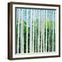 Birch Grove-Herb Dickinson-Framed Photographic Print