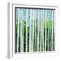 Birch Grove-Herb Dickinson-Framed Photographic Print