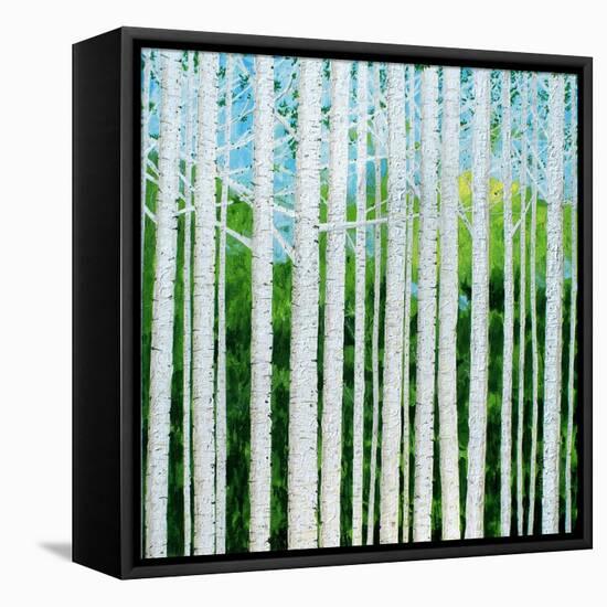 Birch Grove-Herb Dickinson-Framed Stretched Canvas