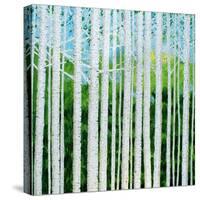 Birch Grove-Herb Dickinson-Stretched Canvas