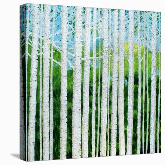 Birch Grove-Herb Dickinson-Stretched Canvas