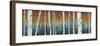 Birch Haven-W^ Blake-Framed Giclee Print