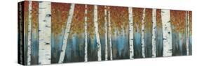 Birch Haven-W Blake-Stretched Canvas