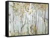 Birch in the fog II-Allison Pearce-Framed Stretched Canvas