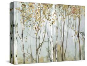 Birch in the fog II-Allison Pearce-Stretched Canvas