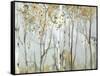 Birch in the fog II-Allison Pearce-Framed Stretched Canvas