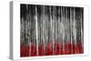 Birch In The Woods At Night-Milli Villa-Stretched Canvas