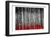 Birch In The Woods At Night-Milli Villa-Framed Art Print