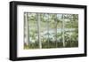 Birch Lake-Elissa Gore-Framed Art Print