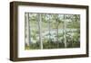 Birch Lake-Elissa Gore-Framed Art Print