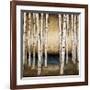 Birch Landing-Patrick St^ Germain-Framed Giclee Print