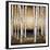 Birch Landing-Patrick St^ Germain-Framed Giclee Print