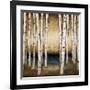 Birch Landing-Patrick St^ Germain-Framed Giclee Print