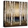 Birch Landing-Patrick St^ Germain-Stretched Canvas