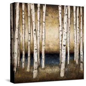 Birch Landing-Patrick St^ Germain-Stretched Canvas