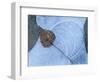 Birch Leaf Caught in Frozen Pond, Almer Lake, Bavaria, Germany-Martin Gabriel-Framed Premium Photographic Print