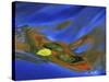 Birch Leaf in River Current with Autumn and Sky Reflections, Upper Peninsula, Michigan, USA-Mark Carlson-Stretched Canvas