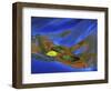 Birch Leaf in River Current with Autumn and Sky Reflections, Upper Peninsula, Michigan, USA-Mark Carlson-Framed Photographic Print