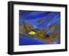 Birch Leaf in River Current with Autumn and Sky Reflections, Upper Peninsula, Michigan, USA-Mark Carlson-Framed Photographic Print