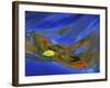 Birch Leaf in River Current with Autumn and Sky Reflections, Upper Peninsula, Michigan, USA-Mark Carlson-Framed Photographic Print