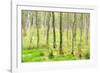 birch mire forest on the Müritz National Park, autumn, double exposure with picturesque effect, Mec-Andreas Vitting-Framed Photographic Print