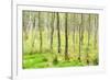 birch mire forest on the Müritz National Park, autumn, double exposure with picturesque effect, Mec-Andreas Vitting-Framed Photographic Print