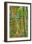 Birch over the Trail-Robert Goldwitz-Framed Photographic Print