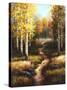 Birch Path-Arcobaleno-Stretched Canvas