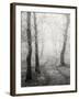 Birch Path-Craig Roberts-Framed Premium Photographic Print