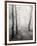 Birch Path-Craig Roberts-Framed Photographic Print