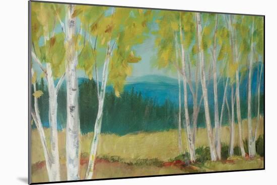 Birch Road Crop-Sue Schlabach-Mounted Art Print