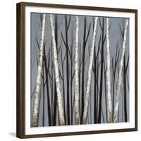 Birch Shadows-null-Framed Giclee Print