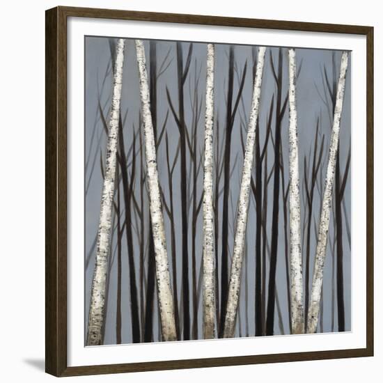 Birch Shadows-null-Framed Giclee Print