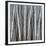 Birch Shadows-null-Framed Giclee Print