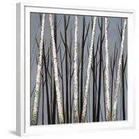 Birch Shadows-null-Framed Giclee Print