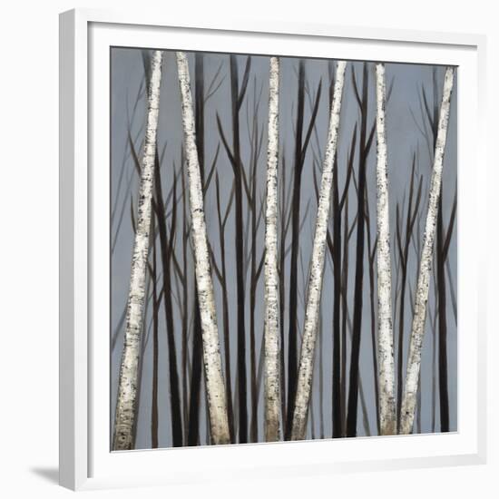 Birch Shadows-null-Framed Giclee Print