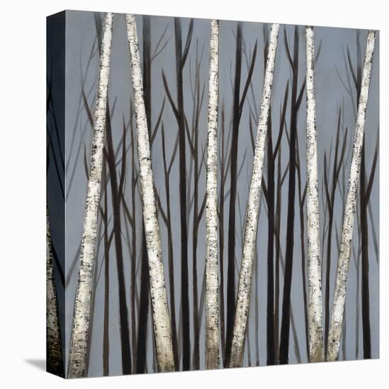 Birch Shadows-null-Stretched Canvas