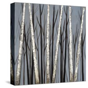Birch Shadows-null-Stretched Canvas