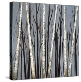 Birch Shadows-null-Stretched Canvas