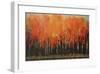 Birch Shoreline-Peter Colbert-Framed Giclee Print