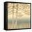 Birch Silhouette 1-James Wiens-Framed Stretched Canvas