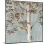 Birch Study I-Daphne Brissonnet-Mounted Art Print