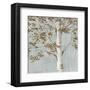 Birch Study I-Daphné B-Framed Art Print