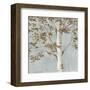 Birch Study I-Daphné B-Framed Art Print