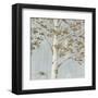 Birch Study II-Daphné B-Framed Art Print