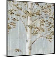 Birch Study II-Daphné B-Mounted Art Print