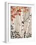 Birch Tapestry-Melissa Pluch-Framed Art Print