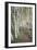 Birch Trail-Natalie Mikaels-Framed Premium Photographic Print
